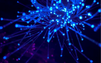 Fiber Optic Vs. Wireless Broadband: Which One Is Better?