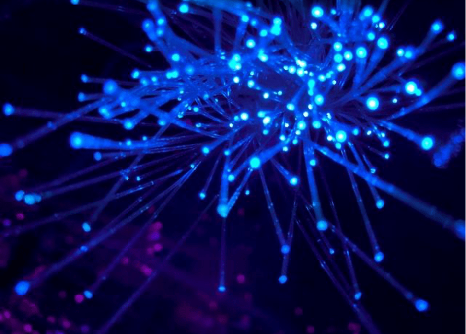 Fiber Optic Vs. Wireless Broadband: Which One Is Better?
